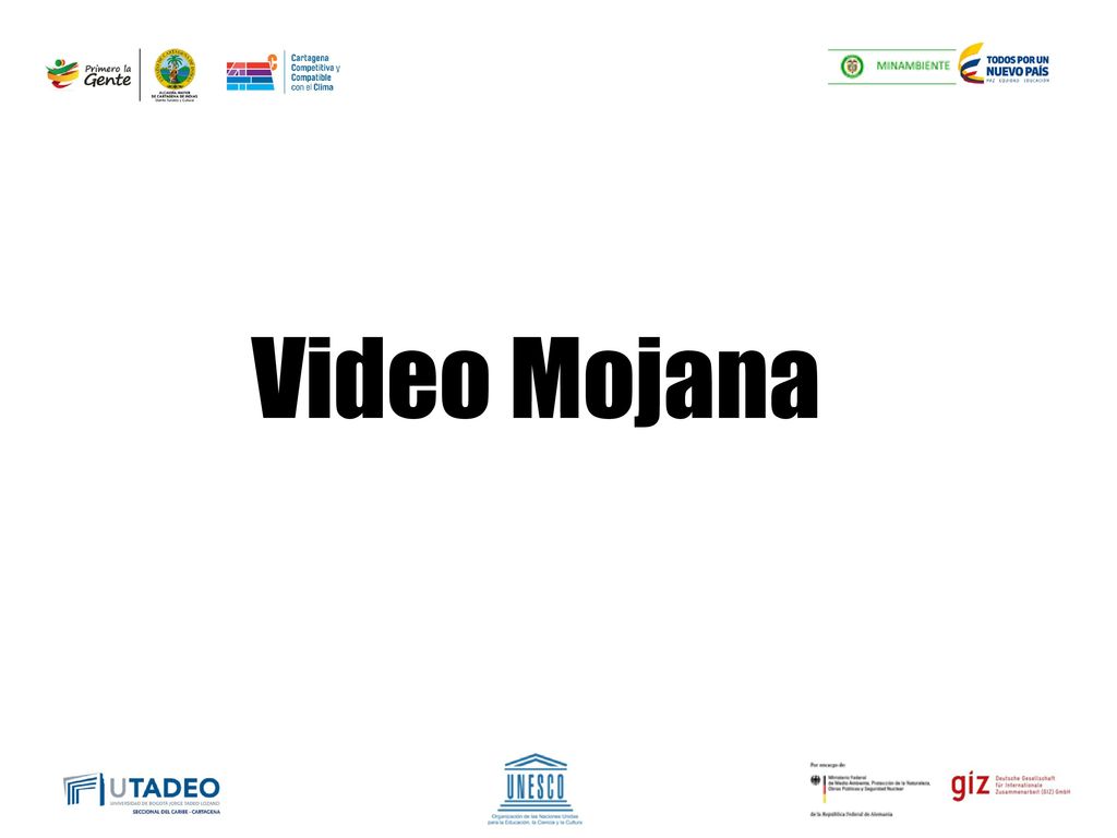 Video Mojana Diseñar un proyecto el cual lo llevo a tomar esa medida (Diagnostico, objetivo, medida, costo aproximado)