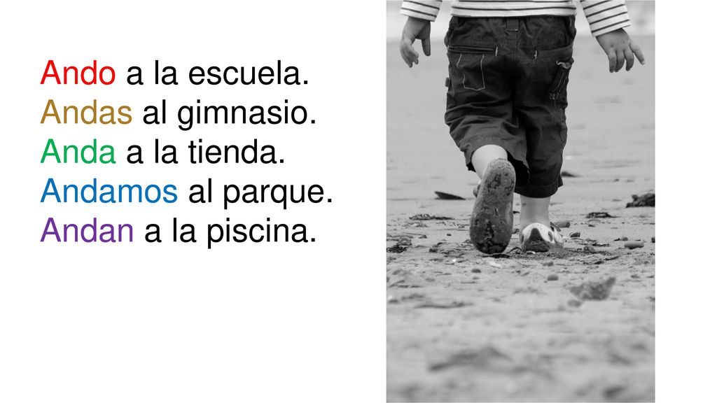 Ando a la escuela. Andas al gimnasio. Anda a la tienda. Andamos al parque. Andan a la piscina.