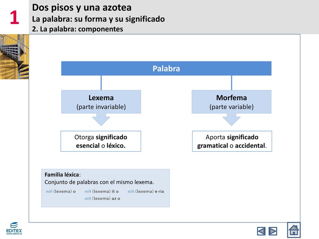 1 Dos pisos y una azotea La palabra: su forma y su significado 2. La palabra: componentes. Otorga significado esencial o léxico.