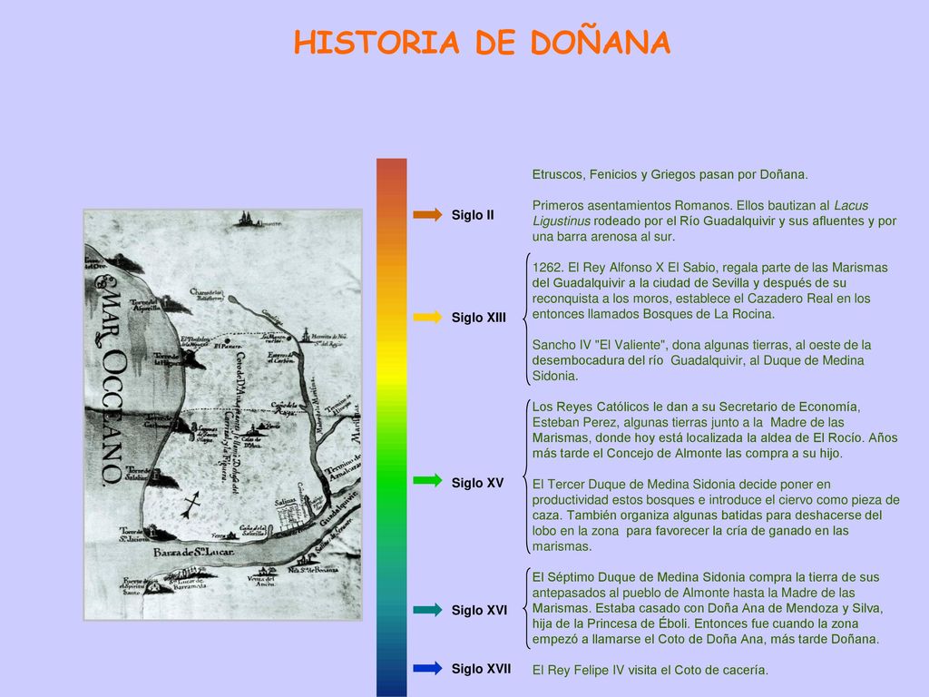 HISTORIA DE DOÑANA Etruscos, Fenicios y Griegos pasan por Doñana.
