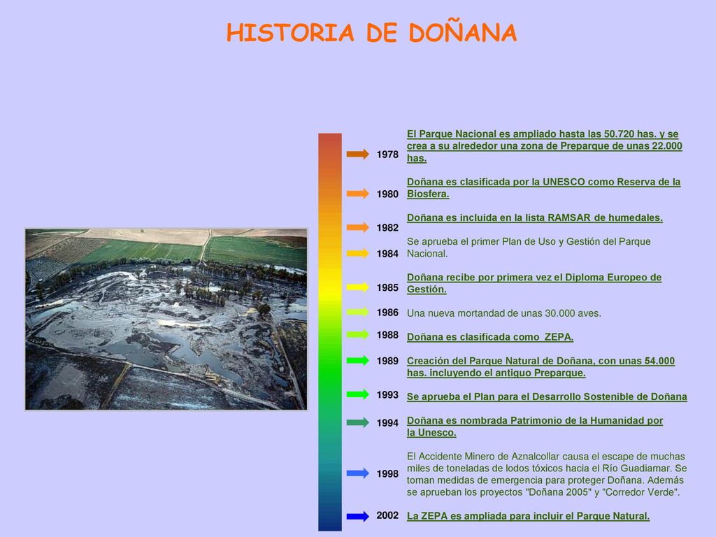 HISTORIA DE DOÑANA El Parque Nacional es ampliado hasta las has. y se crea a su alrededor una zona de Preparque de unas has.