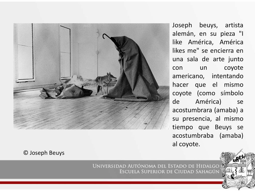 Joseph beuys, artista alemán, en su pieza I like América, América likes me se encierra en una sala de arte junto con un coyote americano, intentando hacer que el mismo coyote (como símbolo de América) se acostumbrara (amaba) a su presencia, al mismo tiempo que Beuys se acostumbraba (amaba) al coyote.