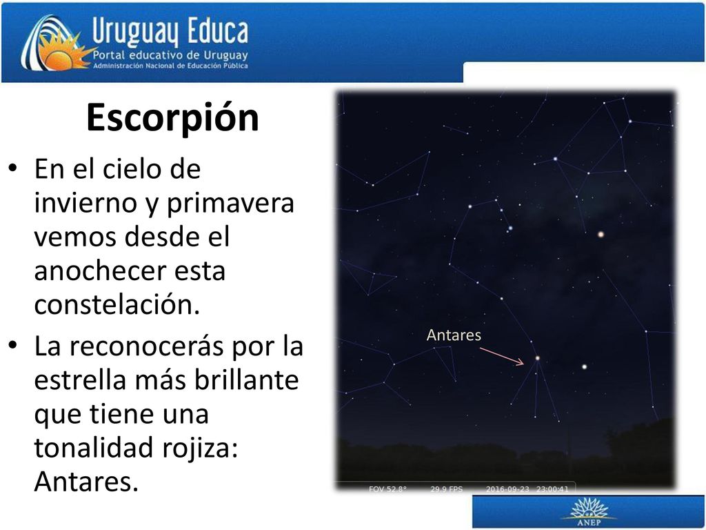 Escorpión En el cielo de invierno y primavera vemos desde el anochecer esta constelación.
