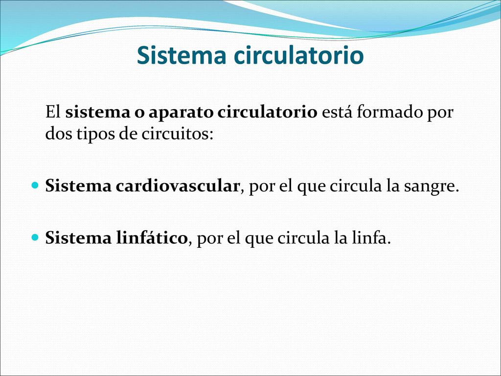 Sistema circulatorio El sistema o aparato circulatorio está formado por dos tipos de circuitos: