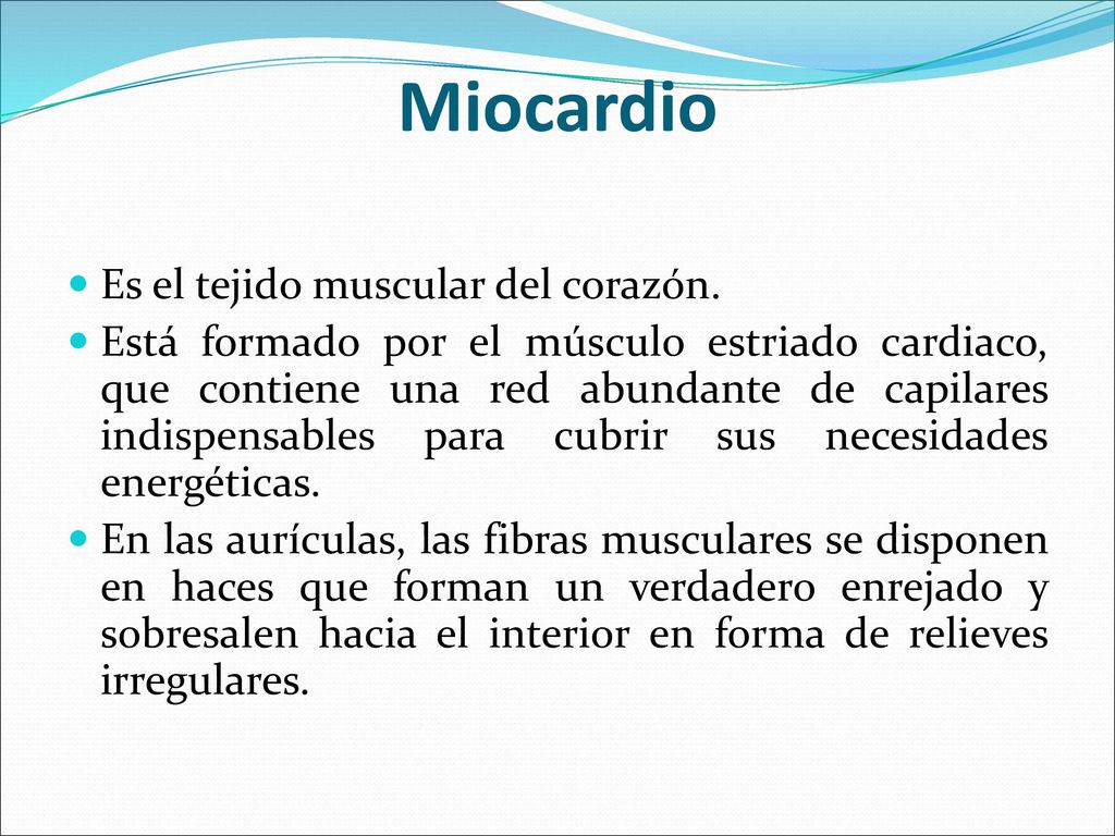Miocardio Es el tejido muscular del corazón.