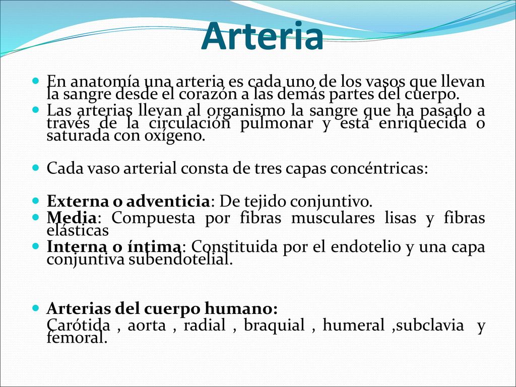 Arteria En anatomía una arteria es cada uno de los vasos que llevan la sangre desde el corazón a las demás partes del cuerpo.