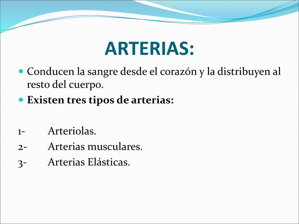 ARTERIAS: Conducen la sangre desde el corazón y la distribuyen al resto del cuerpo. Existen tres tipos de arterias: