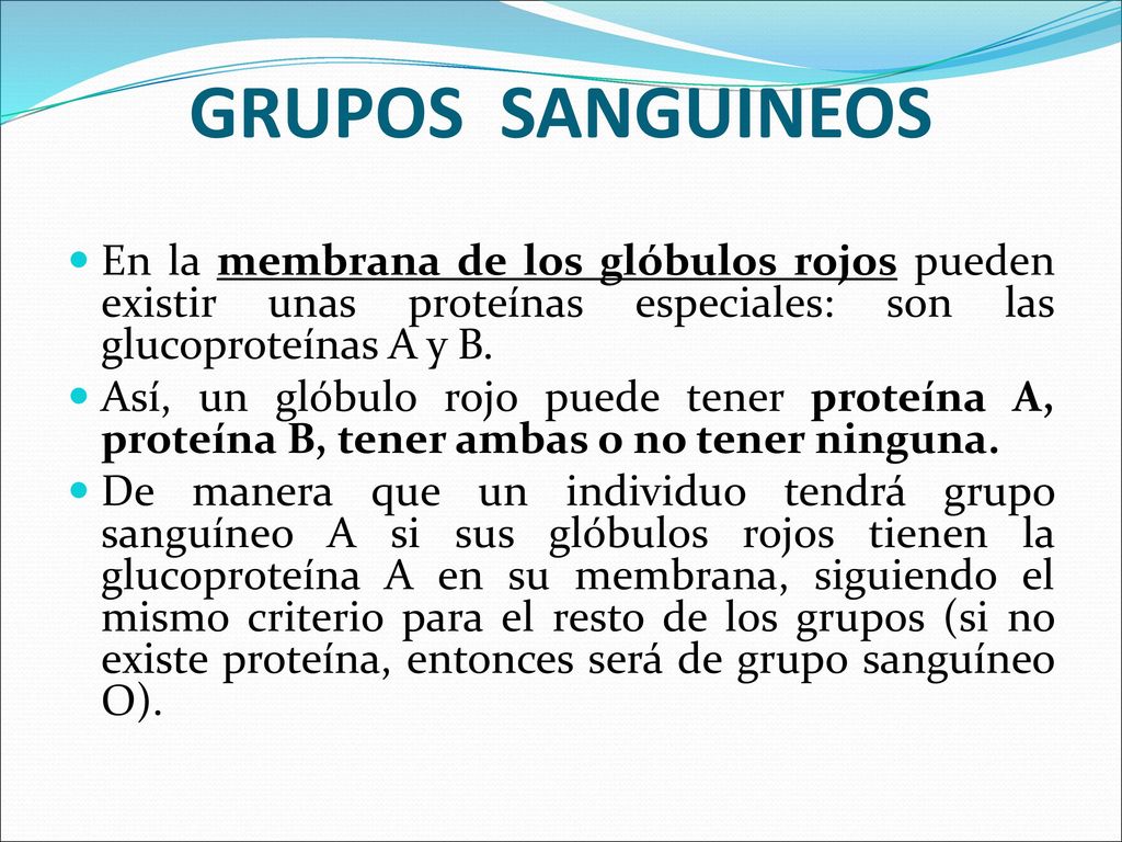 GRUPOS SANGUINEOS En la membrana de los glóbulos rojos pueden existir unas proteínas especiales: son las glucoproteínas A y B.
