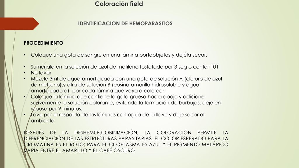 Coloración field IDENTIFICACION DE HEMOPARASITOS PROCEDIMIENTO