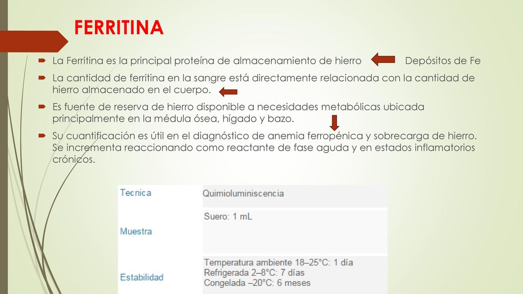 FERRITINA La Ferritina es la principal proteína de almacenamiento de hierro Depósitos de Fe.