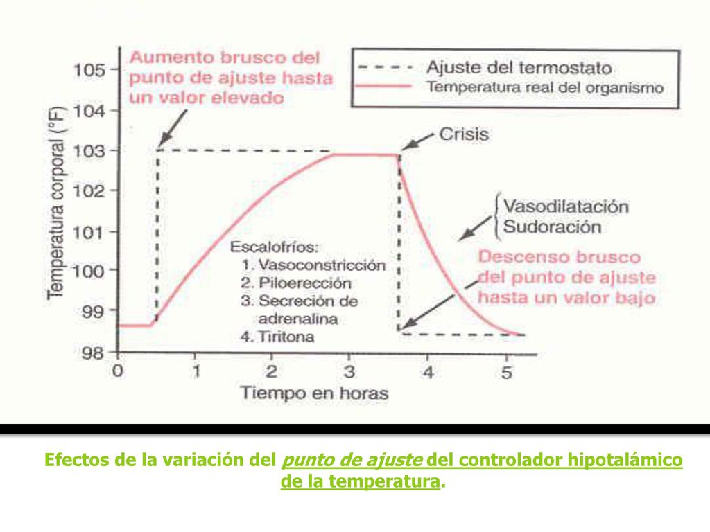 Efectos de la variación del punto de ajuste del controlador hipotalámico de la temperatura.