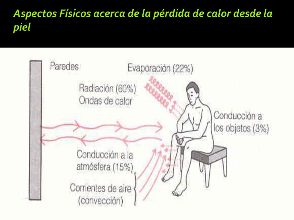 Aspectos Físicos acerca de la pérdida de calor desde la piel