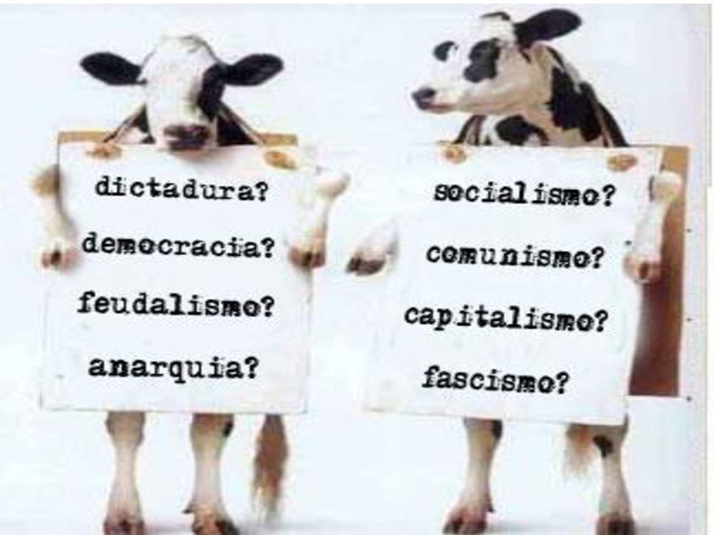 De acuerdo al pluralismo, ya no es la discordia la sospechosa, sino que la unanimidad.