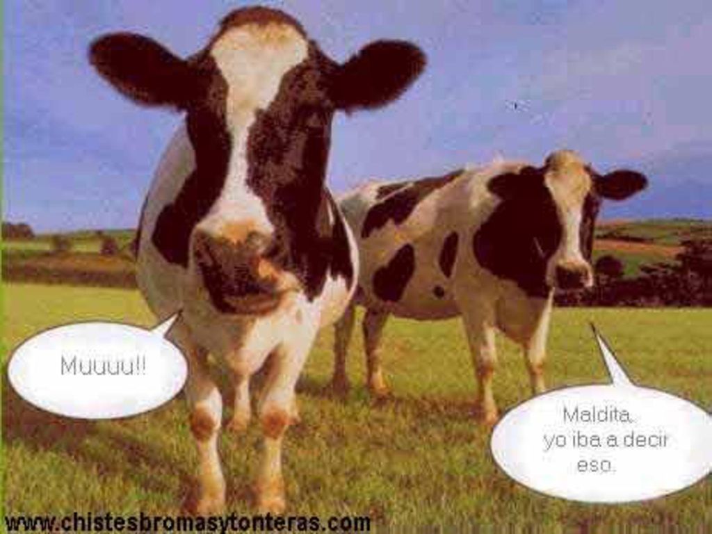 Hoy los modernos creemos que en la variedad y no en la uniformidad, en la deliberación y no en imposición, en el cambio y no en el inmovilismo que surgen el consenso social enriquecido.