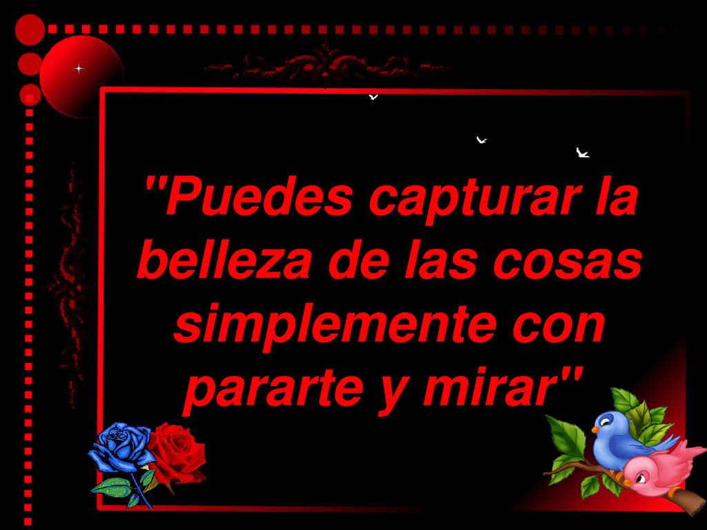 Puedes capturar la belleza de las cosas simplemente con pararte y mirar