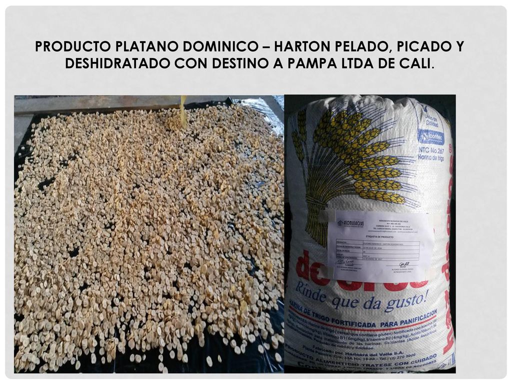 PRODUCTO PLATANO DOMINICO – HARTON PELADO, PICADO Y DESHIDRATADO CON DESTINO A PAMPA LTDA DE CALI.