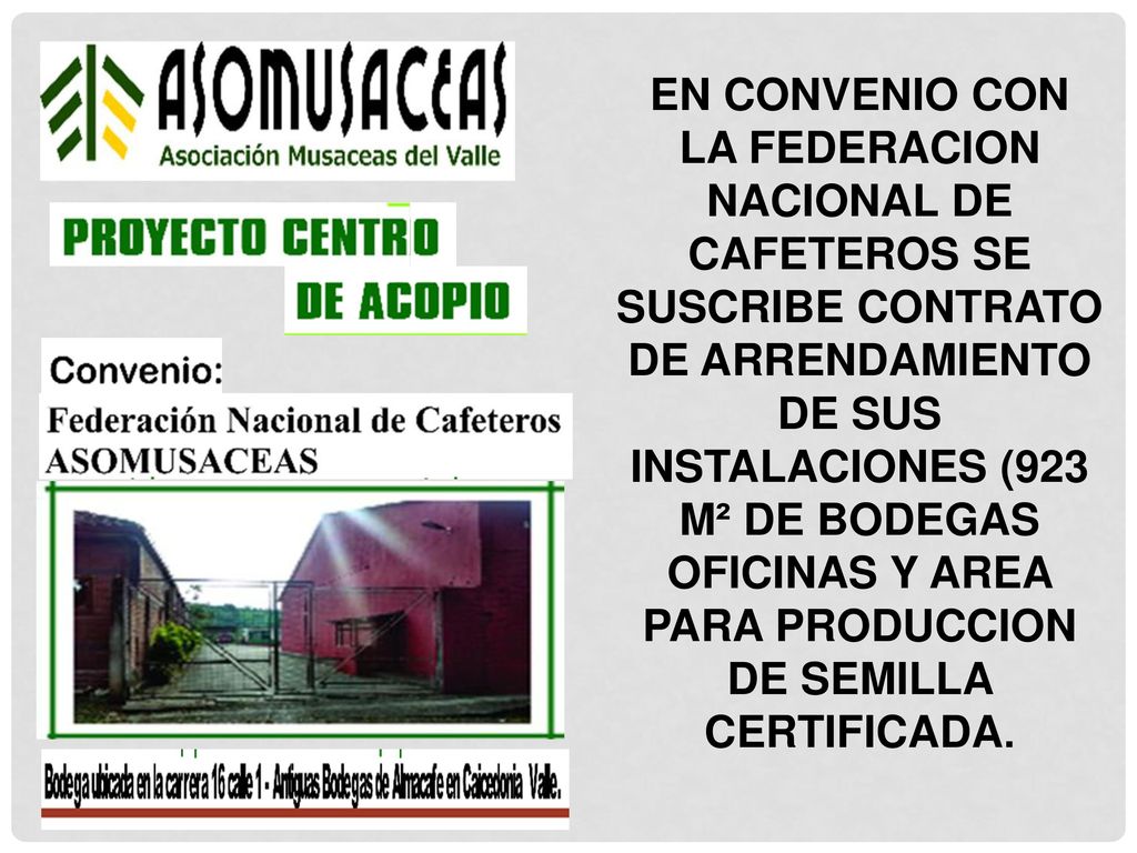 EN CONVENIO CON LA FEDERACION NACIONAL DE CAFETEROS SE SUSCRIBE CONTRATO DE ARRENDAMIENTO DE SUS INSTALACIONES (923 M² DE BODEGAS OFICINAS Y AREA PARA PRODUCCION DE SEMILLA CERTIFICADA.