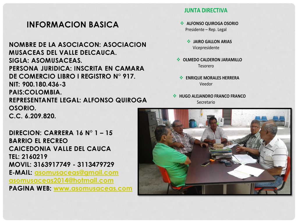 INFORMACION BASICA NOMBRE DE LA ASOCIACON: ASOCIACION MUSACEAS DEL VALLE DELCAUCA. SIGLA: ASOMUSACEAS.