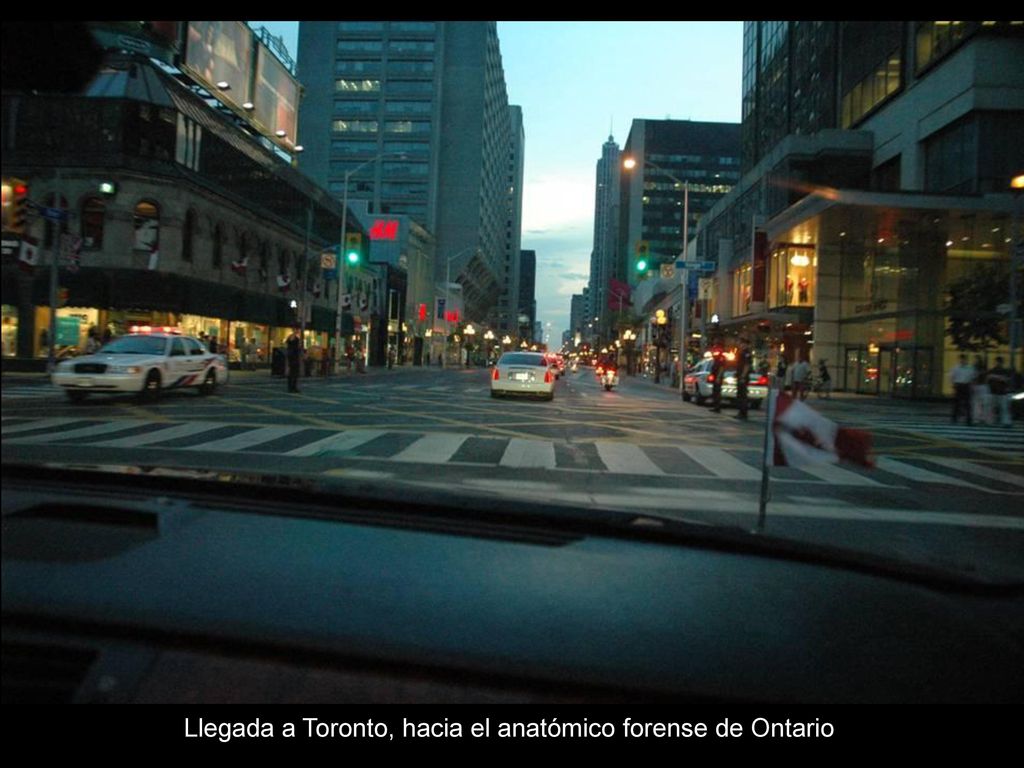 Llegada a Toronto, hacia el anatómico forense de Ontario