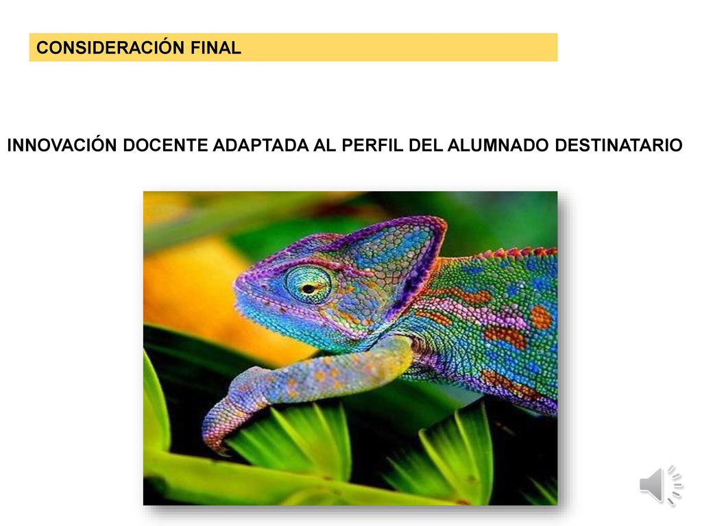 CONSIDERACIÓN FINAL INNOVACIÓN DOCENTE ADAPTADA AL PERFIL DEL ALUMNADO DESTINATARIO