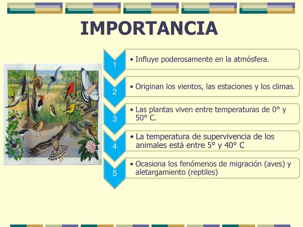 IMPORTANCIA 1. Influye poderosamente en la atmósfera. 2. Originan los vientos, las estaciones y los climas.