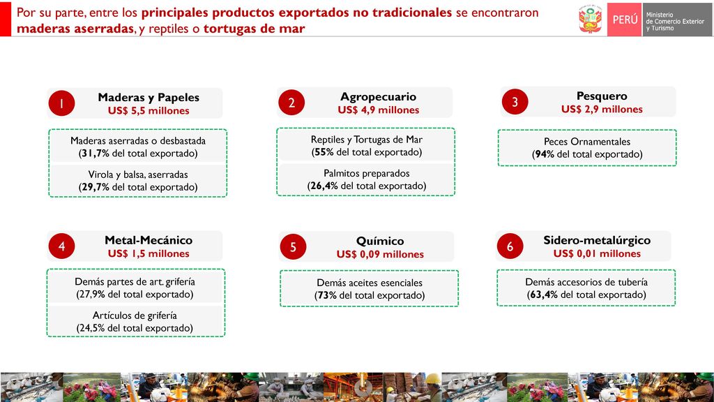 Por su parte, entre los principales productos exportados no tradicionales se encontraron maderas aserradas, y reptiles o tortugas de mar