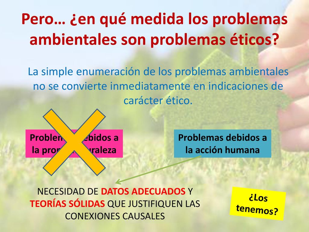 Pero… ¿en qué medida los problemas ambientales son problemas éticos
