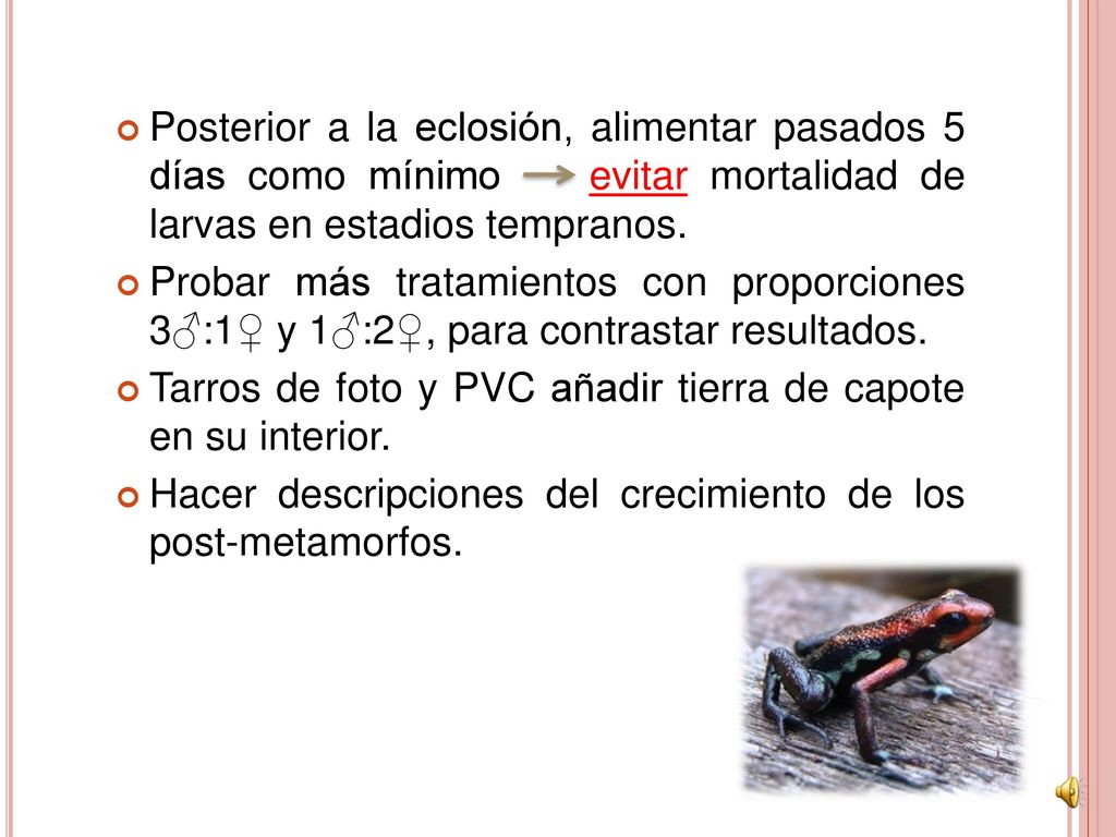 Posterior a la eclosión, alimentar pasados 5 días como mínimo evitar mortalidad de larvas en estadios tempranos.