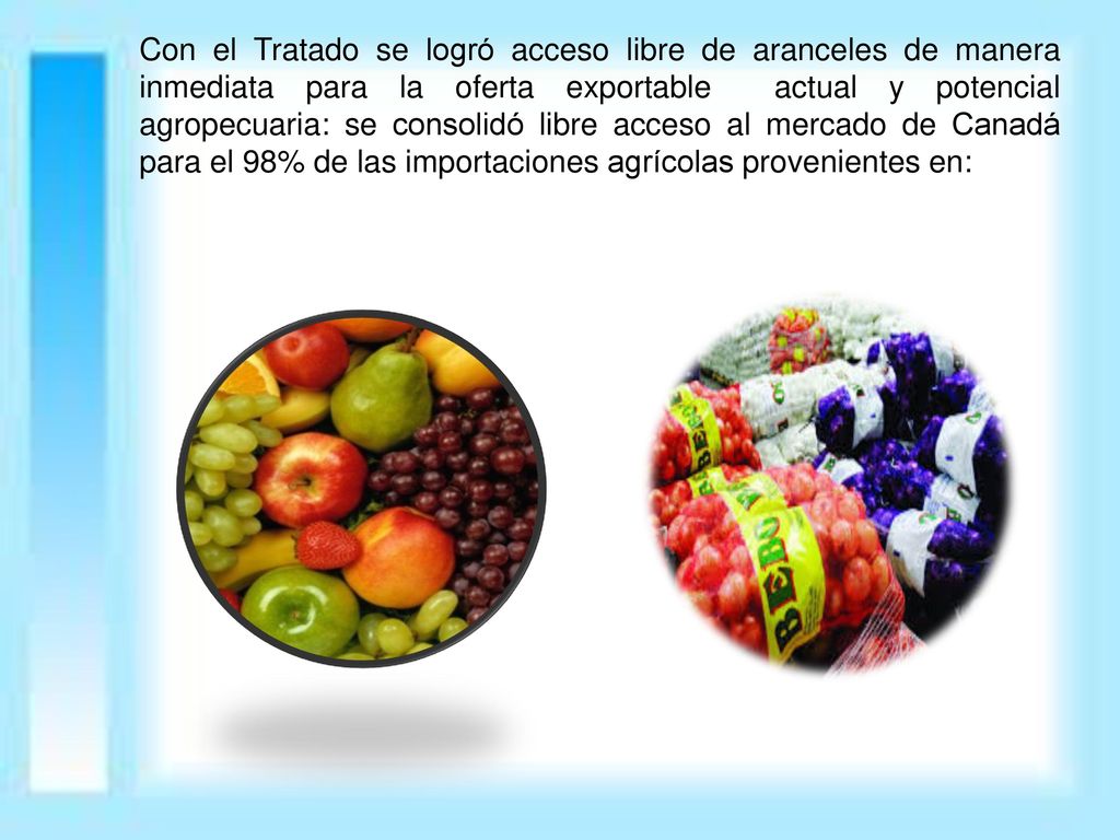 Con el Tratado se logró acceso libre de aranceles de manera inmediata para la oferta exportable actual y potencial agropecuaria: se consolidó libre acceso al mercado de Canadá para el 98% de las importaciones agrícolas provenientes en: