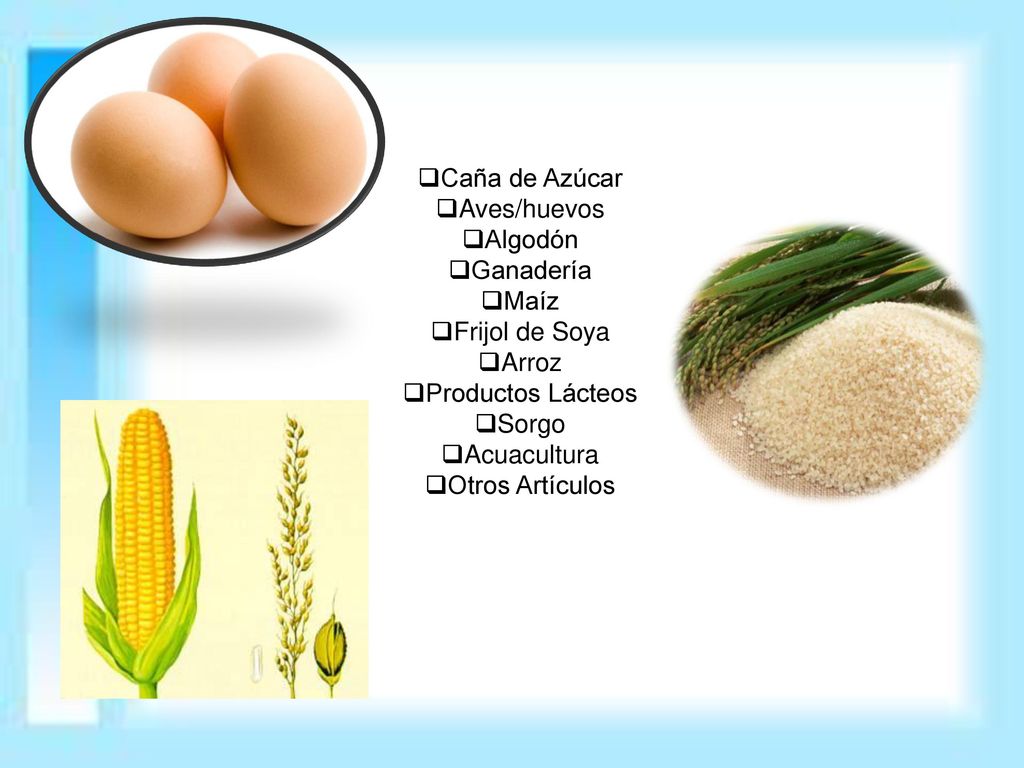 Caña de Azúcar Aves/huevos. Algodón. Ganadería. Maíz. Frijol de Soya. Arroz. Productos Lácteos.