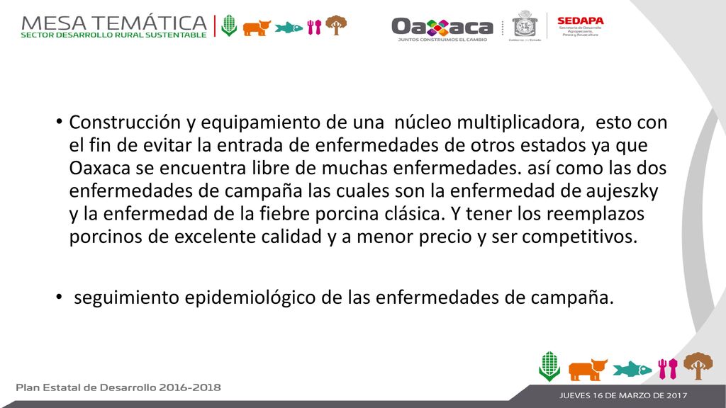 Construcción y equipamiento de una núcleo multiplicadora, esto con el fin de evitar la entrada de enfermedades de otros estados ya que Oaxaca se encuentra libre de muchas enfermedades. así como las dos enfermedades de campaña las cuales son la enfermedad de aujeszky y la enfermedad de la fiebre porcina clásica. Y tener los reemplazos porcinos de excelente calidad y a menor precio y ser competitivos.