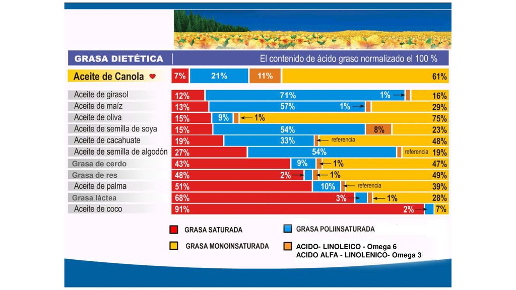 Grasa de cerdo Grasa de res Grasa láctea ACIDO- LINOLEICO - Omega 6