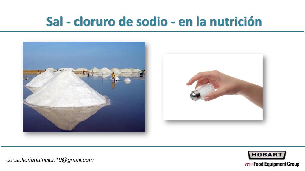 Sal - cloruro de sodio - en la nutrición