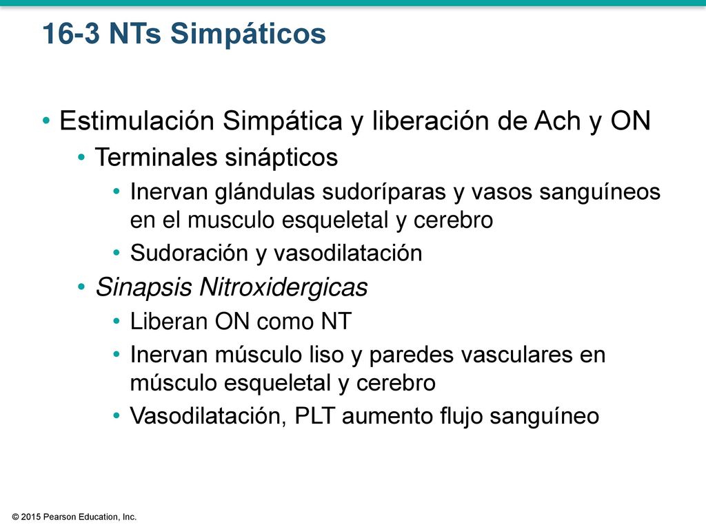 16-3 NTs Simpáticos Estimulación Simpática y liberación de Ach y ON