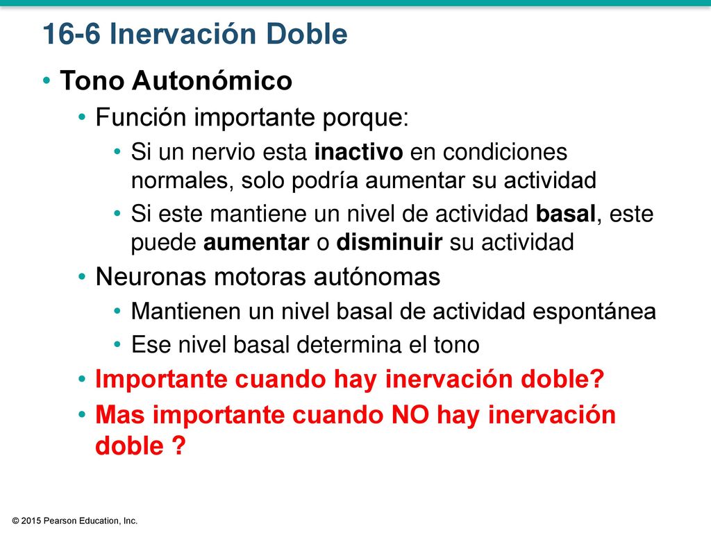 16-6 Inervación Doble Tono Autonómico Función importante porque: