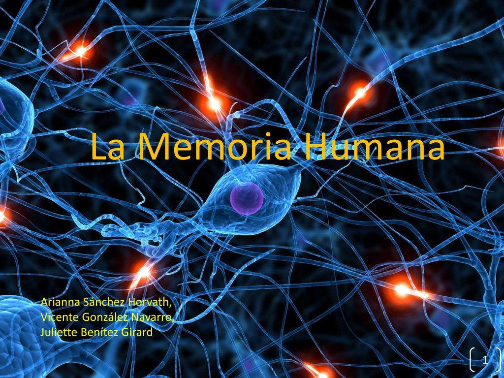 La Memoria Humana Arianna Sánchez Horvath, Vicente González Navarro,