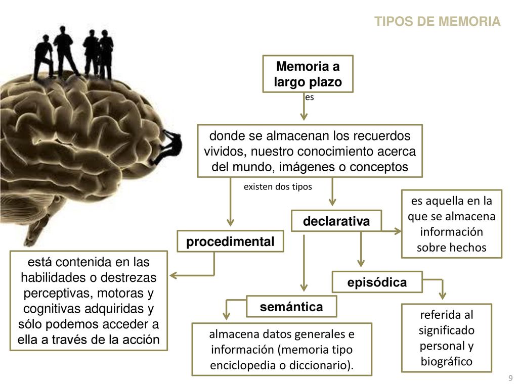 es aquella en la que se almacena información sobre hechos
