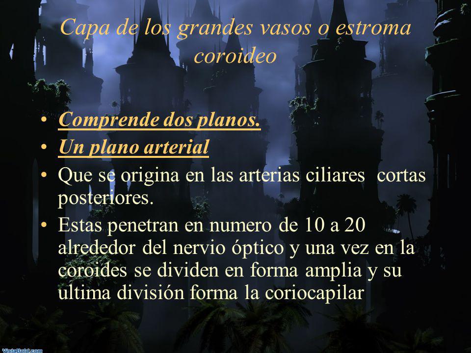 Capa de los grandes vasos o estroma coroideo