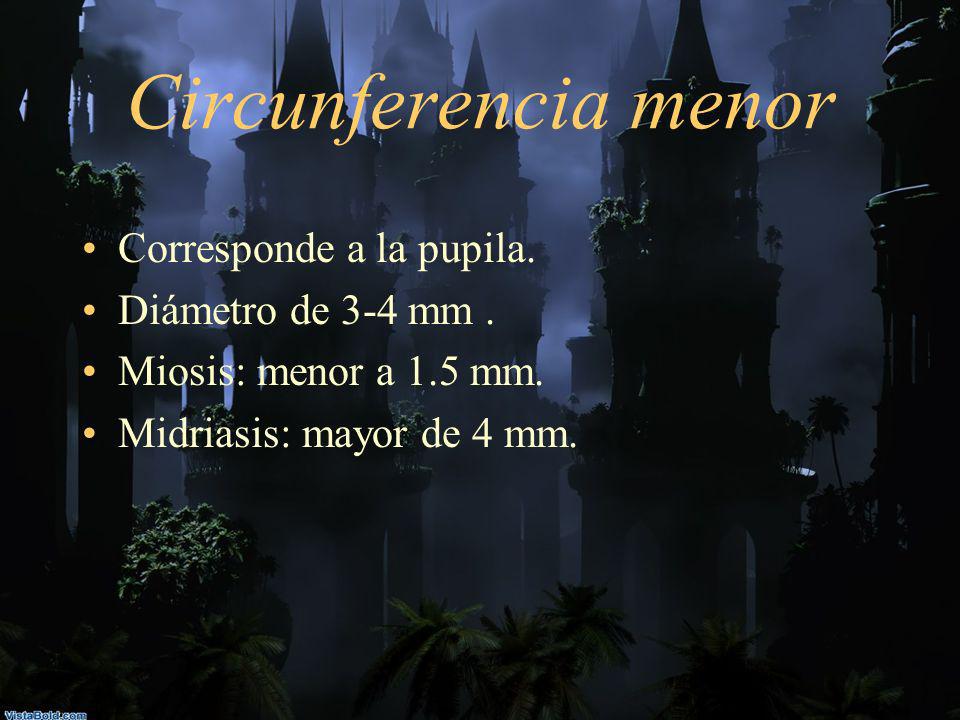 Circunferencia menor Corresponde a la pupila. Diámetro de 3-4 mm .