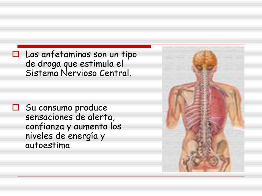 Las anfetaminas son un tipo de droga que estimula el Sistema Nervioso Central.