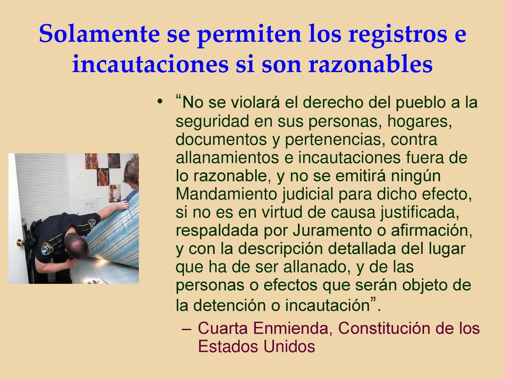 Solamente se permiten los registros e incautaciones si son razonables
