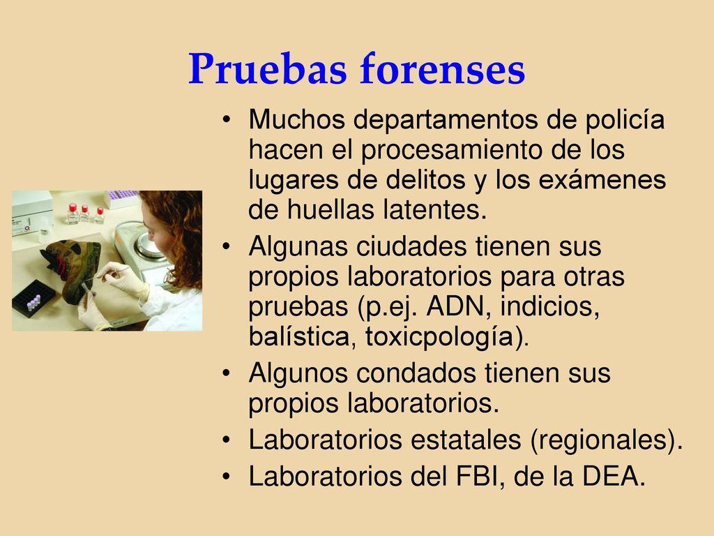 Pruebas forenses Muchos departamentos de policía hacen el procesamiento de los lugares de delitos y los exámenes de huellas latentes.