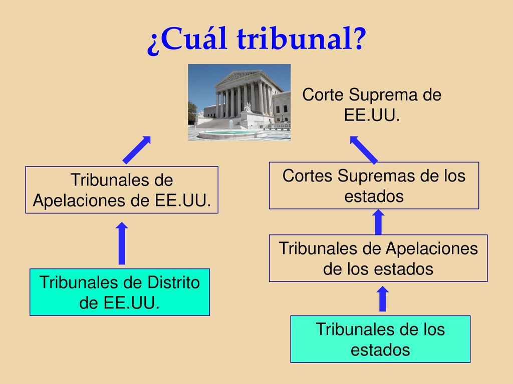 ¿Cuál tribunal Corte Suprema de EE.UU. Cortes Supremas de los estados