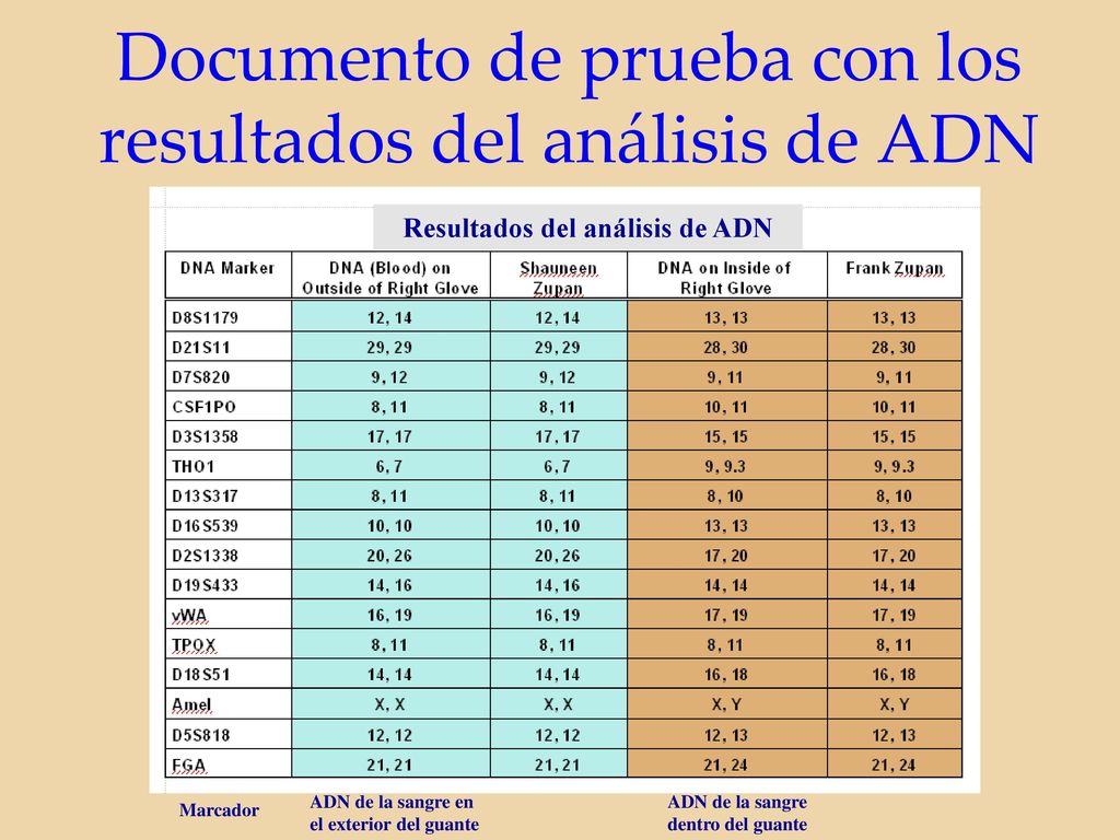Documento de prueba con los resultados del análisis de ADN