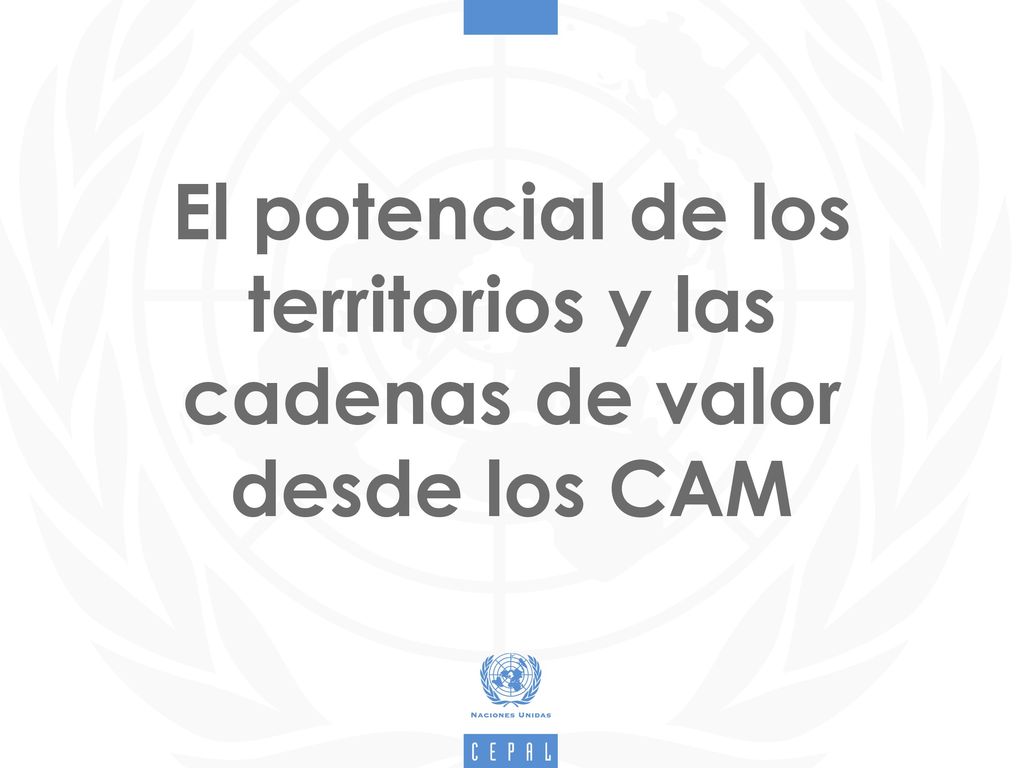 El potencial de los territorios y las cadenas de valor desde los CAM