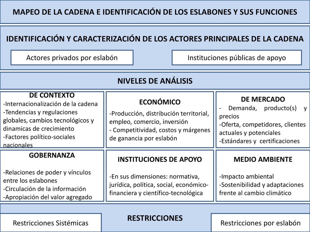MAPEO DE LA CADENA E IDENTIFICACIÓN DE LOS ESLABONES Y SUS FUNCIONES