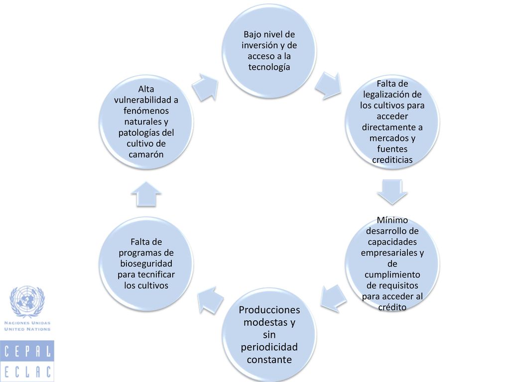 Bajo nivel de inversión y de acceso a la tecnología