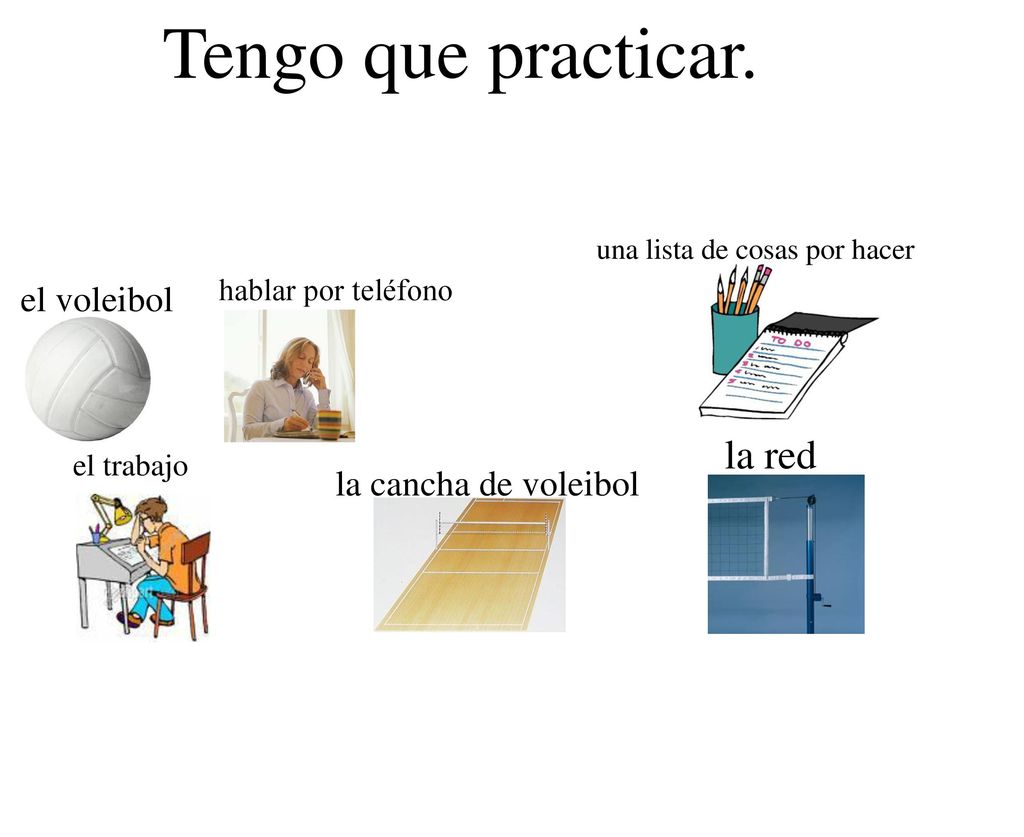 Tengo que practicar. la red el voleibol la cancha de voleibol