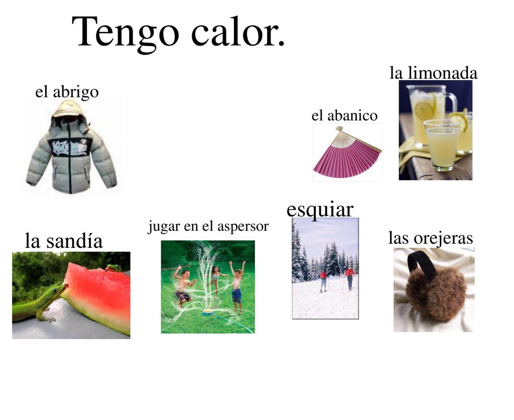 Tengo calor. esquiar la sandía la limonada las orejeras el abrigo