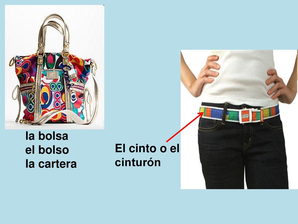 la bolsa el bolso la cartera El cinto o el cinturón